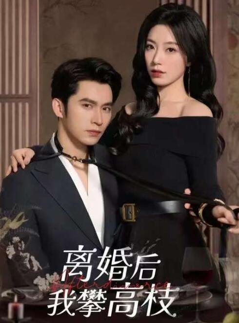 《离婚后攀高枝》免费在线观看短剧高清全集完整版 离婚后攀高枝短剧，离婚后攀高枝全集，离婚后攀高枝免费观看，离婚后攀高枝短剧全集，离婚后攀高枝夸克资源 第1张