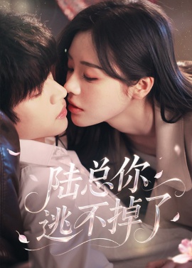 《陆总你逃不掉了》免费在线观看短剧高清全集完整版 陆总你逃不掉了短剧，陆总你逃不掉了全集，陆总你逃不掉了免费观看，陆总你逃不掉了短剧全集，陆总你逃不掉了夸克资源 第1张