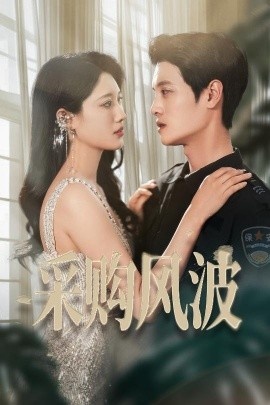 《采购风波》免费在线观看短剧高清全集完整版 采购风波短剧，采购风波全集，采购风波免费观看，采购风波短剧全集，采购风波夸克资源 第1张
