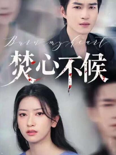 《焚心不候》免费在线观看短剧高清全集完整版 焚心不候短剧，焚心不候忘全集，焚心不候忘免费观看，焚心不候短剧全集，念念相忘夸克资源 第1张