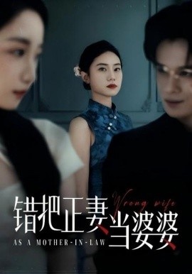《错把正妻当婆婆》免费在线观看短剧高清全集完整版 错把正妻当婆婆短剧，错把正妻当婆婆全集，错把正妻当婆婆免费观看，错把正妻当婆婆短剧全集，错把正妻当婆婆夸克资源 第1张