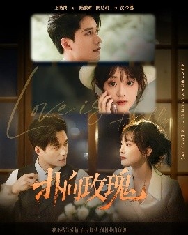 《扑向玫瑰》免费在线观看短剧高清全集完整版 扑向玫瑰短剧，扑向玫瑰全集，扑向玫瑰免费观看，扑向玫瑰短剧全集，扑向玫瑰夸克资源 第1张