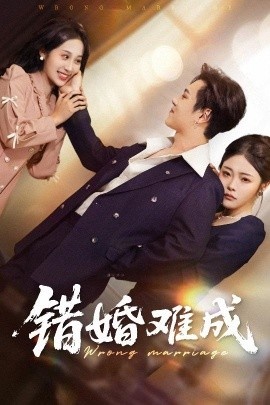 《错婚难成》免费在线观看短剧高清全集完整版 错婚难成短剧，错婚难成全集，错婚难成免费观看，错婚难成短剧全集，错婚难成夸克资源 第1张