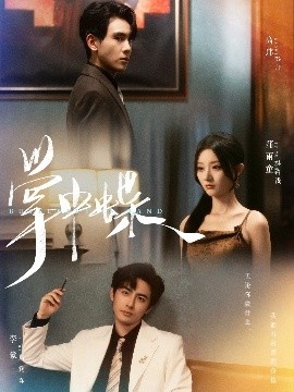 《掌中蝶》免费在线观看短剧高清全集完整版 掌中蝶短剧，掌中蝶全集，掌中蝶免费观看，掌中蝶短剧全集，掌中蝶夸克资源 第1张