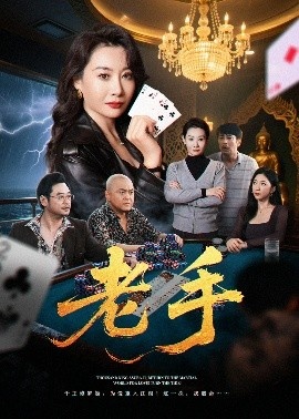 《老手》免费在线观看短剧高清全集完整版 老手短剧，老手全集，老手免费观看，老手短剧全集，老手夸克资源 第1张