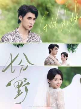 《七分野》免费在线观看短剧高清全集完整版 七分野短剧，七分野全集，七分野免费观看，七分野短剧全集，七分野夸克资源 第1张