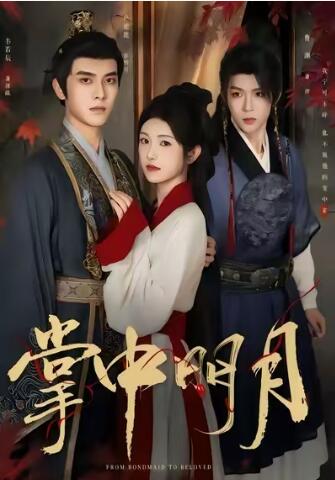 《掌中明月》免费在线观看短剧高清全集完整版 掌中明月短剧，掌中明月全集，掌中明月免费观看，掌中明月短剧全集，掌中明月夸克资源 第1张