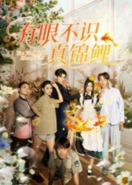 《有眼不识真锦鲤》免费在线观看短剧高清全集完整版 有眼不识真锦鲤短剧，有眼不识真锦鲤全集，有眼不识真锦鲤免费观看，有眼不识真锦鲤短剧全集，有眼不识真锦鲤夸克资源 第1张