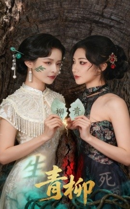 《青柳》免费在线观看短剧高清全集完整版 青柳短剧，青柳全集，青柳免费观看，青柳短剧全集，青柳夸克资源 第1张