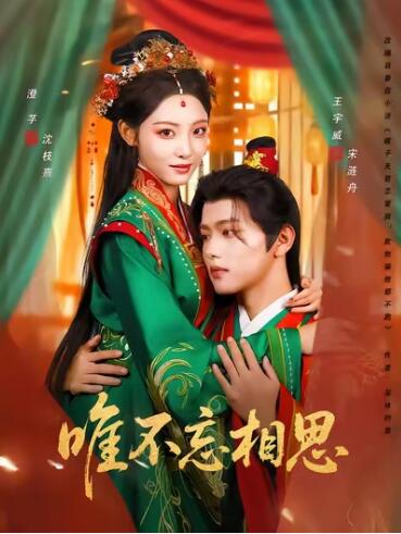 《唯不忘相思》免费在线观看短剧高清全集完整版 唯不忘相思短剧，唯不忘相思全集，唯不忘相思免费观看，唯不忘相思短剧全集，唯不忘相思夸克资源 第1张
