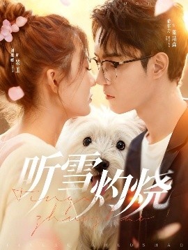 《听雪灼烧》免费在线观看短剧高清全集完整版 听雪灼烧短剧，听雪灼烧全集，听雪灼烧免费观看，听雪灼烧短剧全集，听雪灼烧夸克资源 第1张