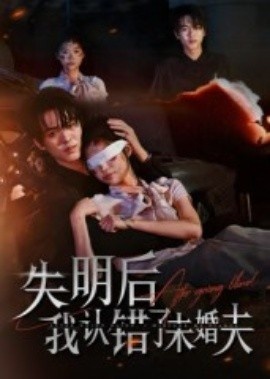 《失明后我认错了未婚夫》免费在线观看短剧高清全集完整版 失明后我认错了未婚夫短剧，失明后我认错了未婚夫全集，失明后我认错了未婚夫免费观看，失明后我认错了未婚夫短剧全集，失明后我认错了未婚夫夸克资源 第1张