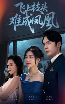 《飞上枝头难成凤凰》免费在线观看短剧高清全集完整版 飞上枝头难成凤凰短剧，飞上枝头难成凤凰全集，飞上枝头难成凤凰免费观看，飞上枝头难成凤凰短剧全集，飞上枝头难成凤凰夸克资源 第1张