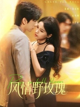 《风情野玫瑰》免费在线观看短剧高清全集完整版 风情野玫瑰短剧，风情野玫瑰全集，风情野玫瑰免费观看，风情野玫瑰短剧全集，风情野玫瑰夸克资源 第1张