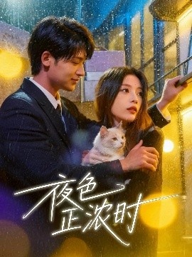 《夜色正浓时》免费在线观看短剧高清全集完整版 夜色正浓时短剧，夜色正浓时全集，夜色正浓时免费观看，夜色正浓时短剧全集，夜色正浓时夸克资源 第1张