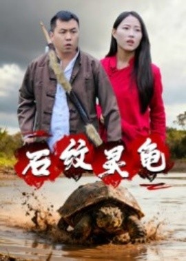 《石纹灵龟》免费在线观看短剧高清全集完整版 石纹灵龟短剧，石纹灵龟全集，石纹灵龟免费观看，石纹灵龟短剧全集，石纹灵龟夸克资源 第1张